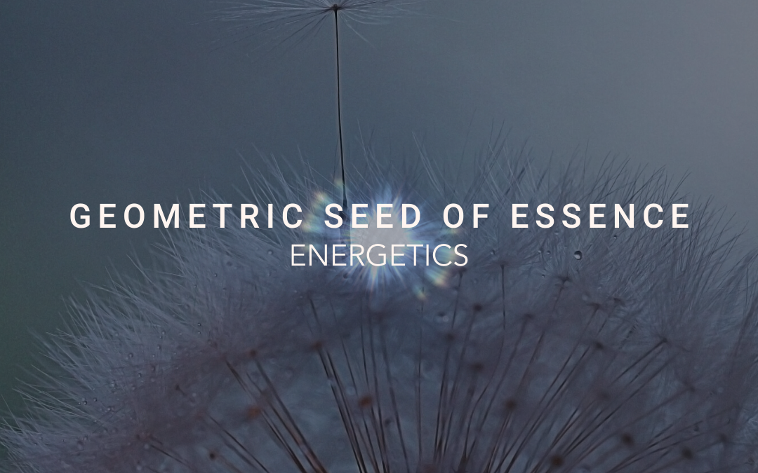 The Geometric Seed of Essence
